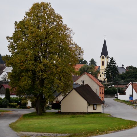 Měnič obrázků - fotografie